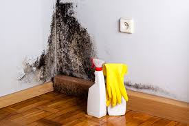 Best Residential Mold Inspection & Testing  in USA